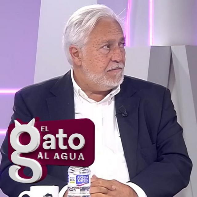 El Gato al Agua | 18/11/24 - podcast episode cover