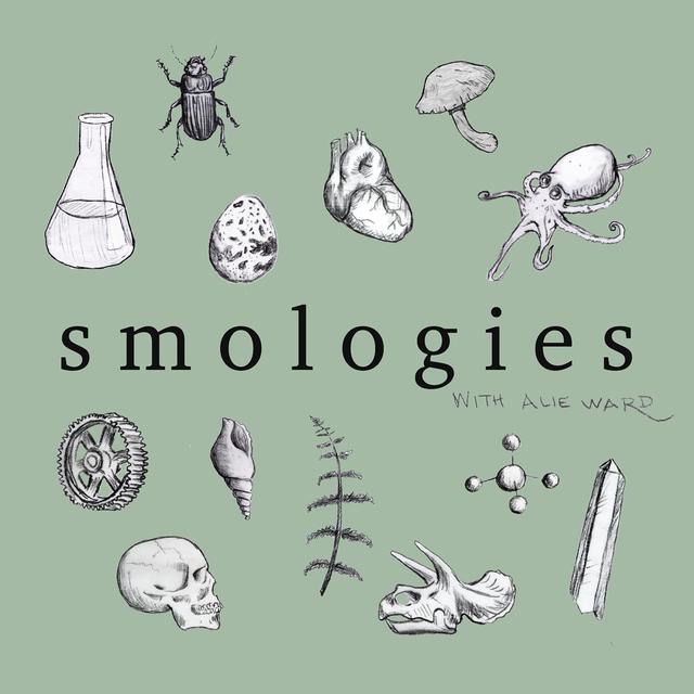Smologies #34: PENGUINS with Tom Hart - podcast episode cover