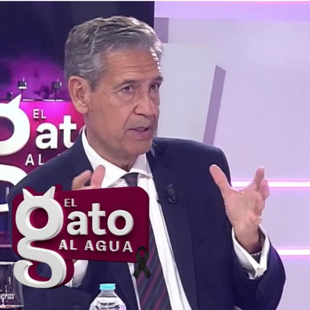 El Gato al Agua | 14/11/24 - podcast episode cover