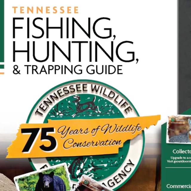 TW 395 - Your Guide To The Tennessee Great Outdoors - podcast episode cover