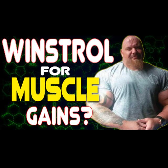 Drugs N Stuff 256 Stanozolol in Off Season For Muscle Growth? - podcast episode cover