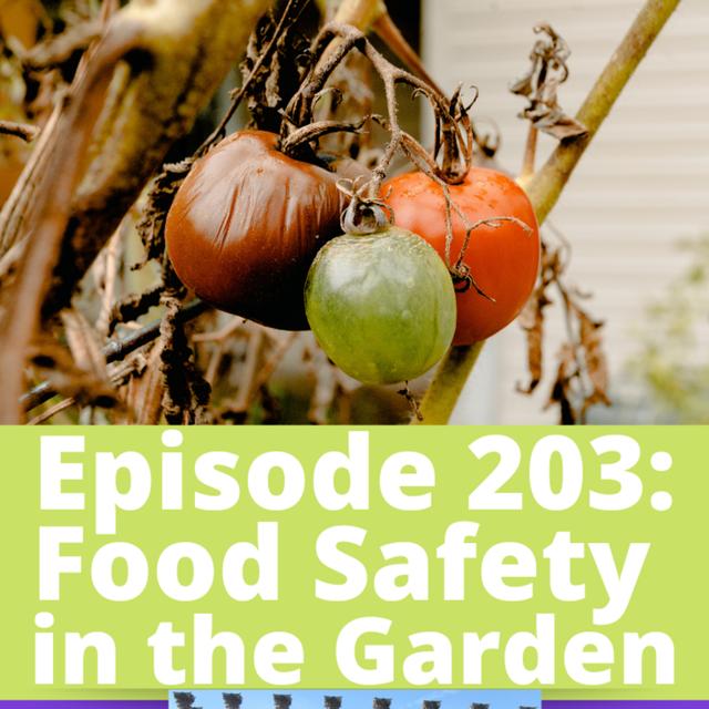 Food Safety in the Garden - podcast episode cover