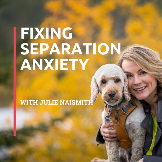 016 5 Tips You Need To Know Before You Hire a Trainer - podcast episode cover
