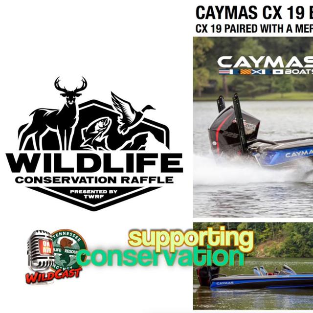 TW 397 - Win Big! Support Wildlife! - podcast episode cover