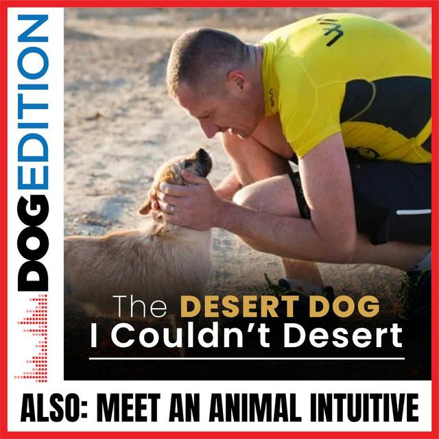 The Desert Dog I Couldn’t Desert | Meet An Animal Intuitive | Dog Edition #27 - podcast episode cover