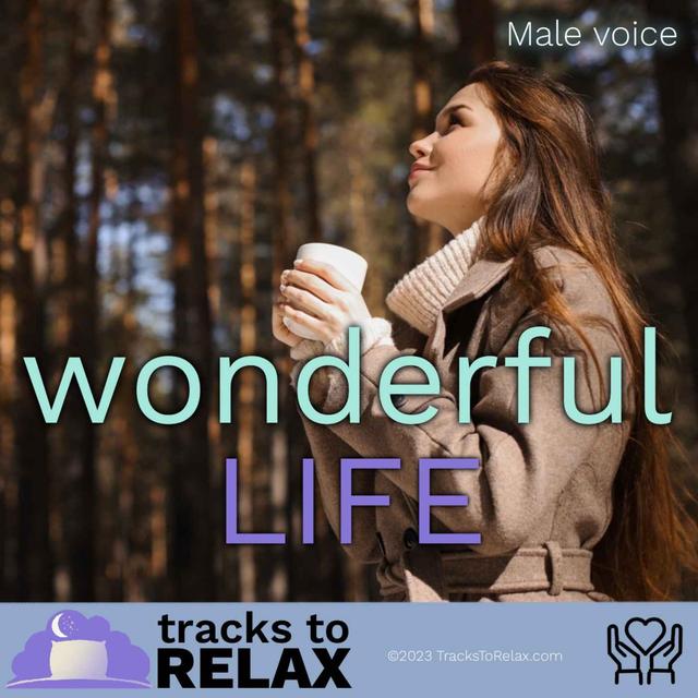 Wonderful Life Positive Sleep Meditation - podcast episode cover
