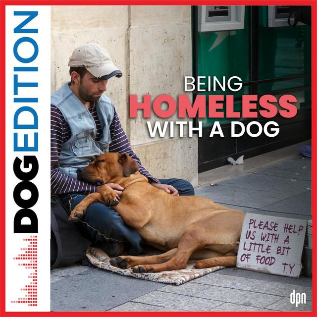 Being Homeless with a Dog | Dog Edition #66 - podcast episode cover