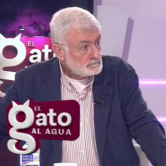 El Gato al Agua | 11/12/24 - podcast episode cover