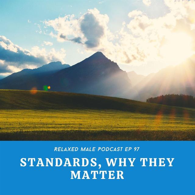 Standards, Why They Matter - podcast episode cover