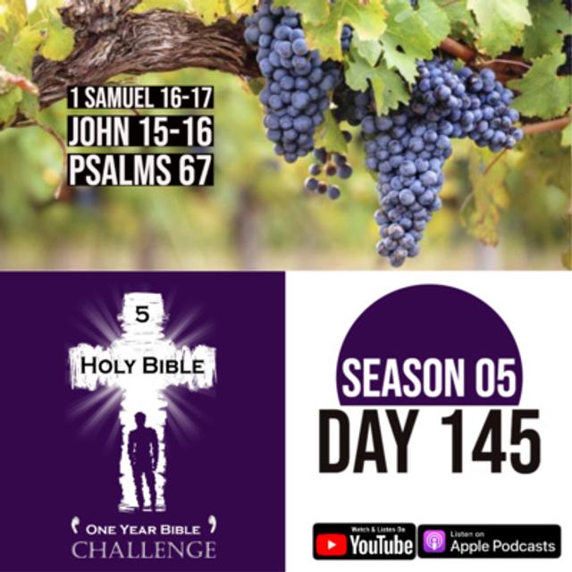 Day 145: David is anointed | Goliath threatens the Israelites | Jesus is like a vine - podcast episode cover