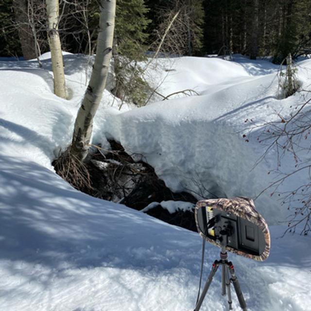 125: Winter Afternoon Beside Moosehead Creek - podcast episode cover