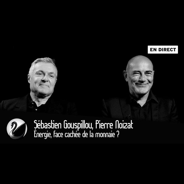 Sébastien Gouspillou et Pierre Noizat : Énergie, face cachée de la monnaie ? - podcast episode cover