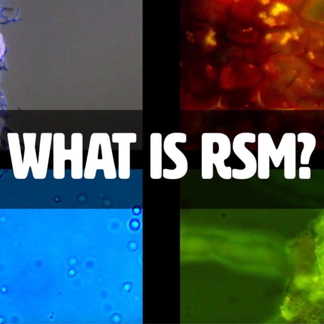 What Is Regenerative Soil Microscopy? with Matt Powers | A Sneak Peek - podcast episode cover
