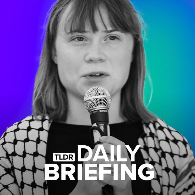 Gaza’s Freedom Flotilla Mission Fails - podcast episode cover