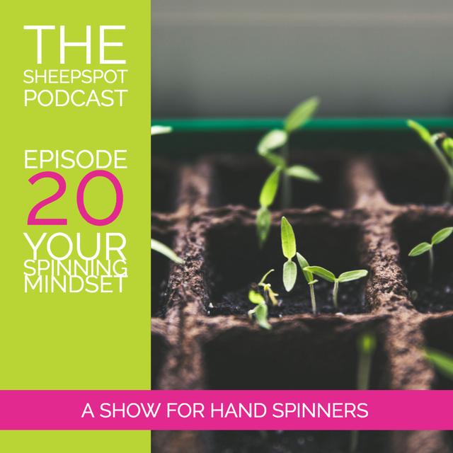 Episode 20: Your Spinning Mindset - podcast episode cover