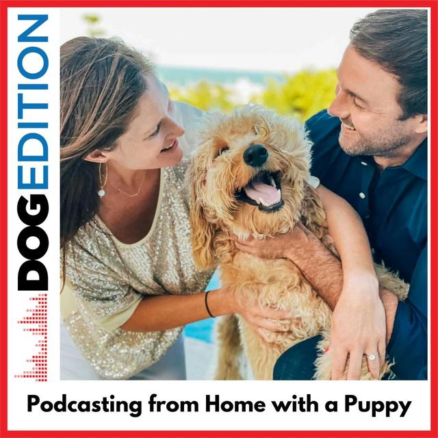 Podcasting from Home with a Puppy - podcast episode cover