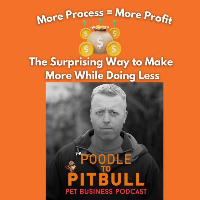 Episode 372 - How to Process Your Way to Bigger Pet Biz Profits - podcast episode cover
