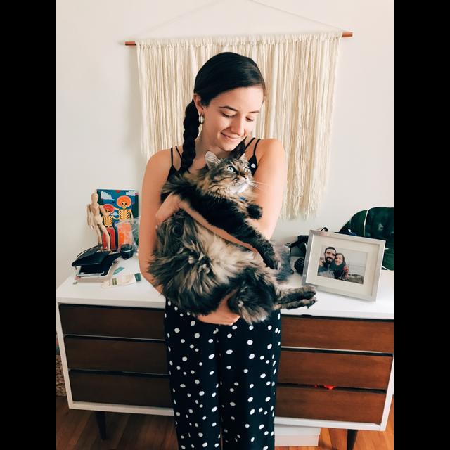 What My Animals Have Taught Me - podcast episode cover