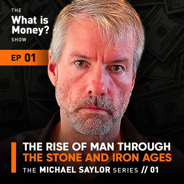 WiM001 - The Saylor Series | Episode 1 | The Rise of Man through The Stone and Iron Ages - podcast episode cover