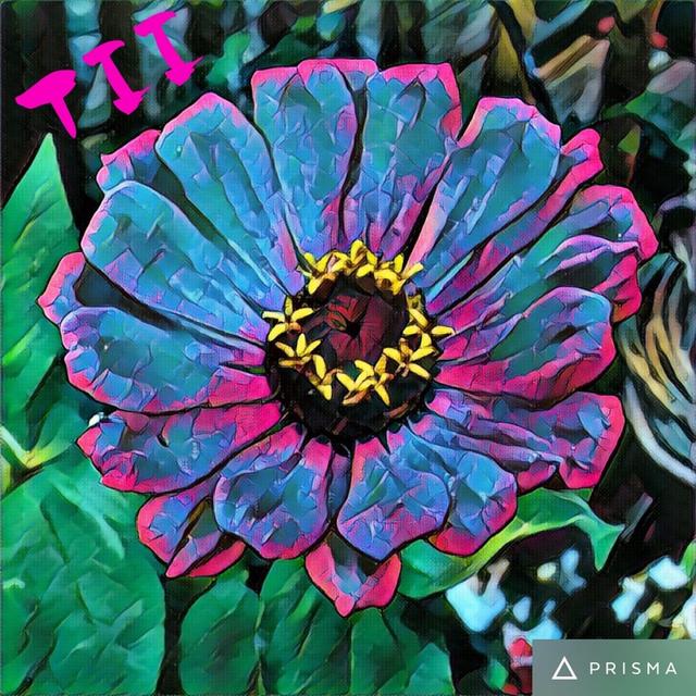 Tii - iTem 0402 - iOS 10 Beta 6 - podcast episode cover