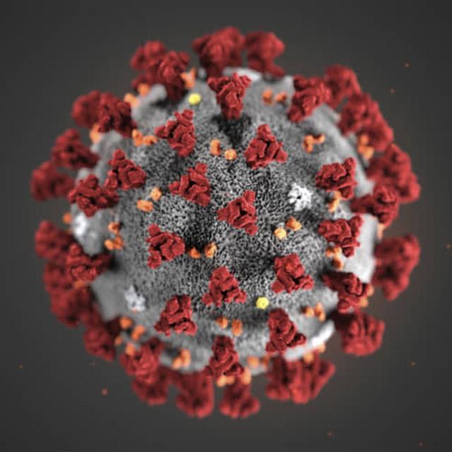 37: Japan and the Wuhan coronavirus - podcast episode cover