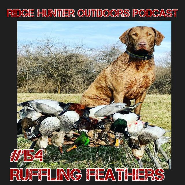 Ruffling Feathers w/ Tyler Kiefer | RHO Podcast #154 - podcast episode cover