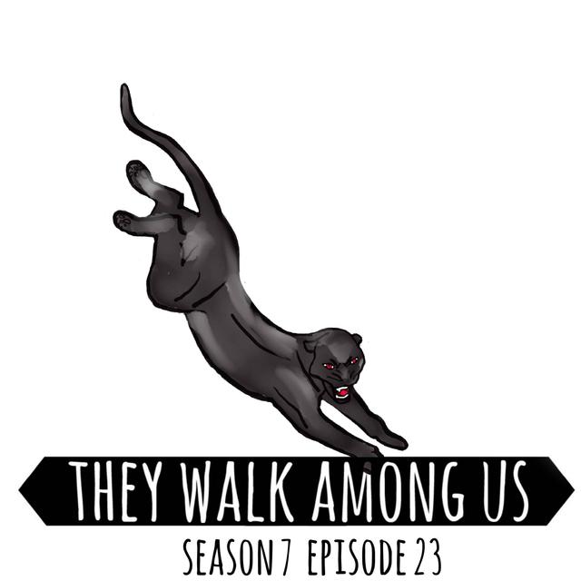 The Black Panther / Donald Neilson - Part 1 - podcast episode cover
