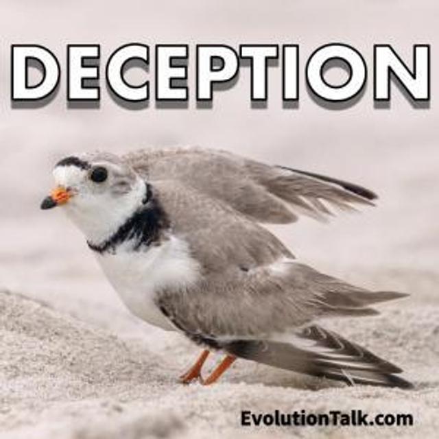 Deception - podcast episode cover