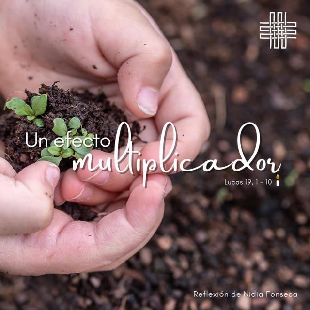 🕯️ Liturgia "Un efecto multiplicador"📖 Lucas 19, 1 - 10 - podcast episode cover