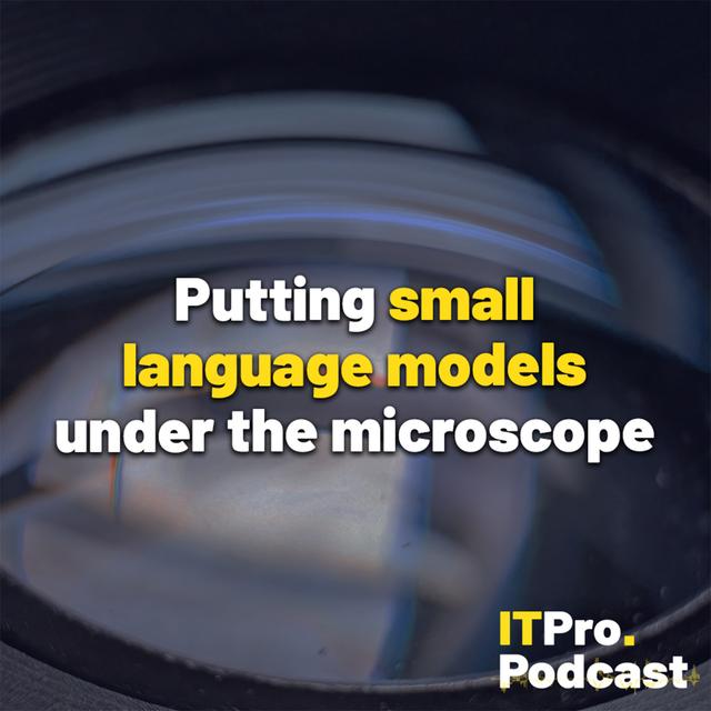Putting small language models under the microscope - podcast episode cover