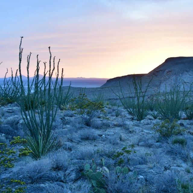 Hollistic Healing Colon Cleanse in Gypsum Habitats - podcast episode cover