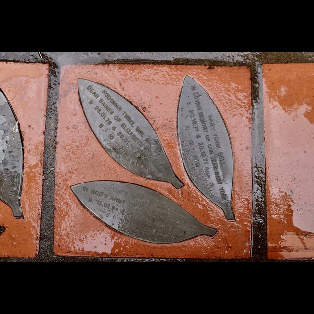 The bay leaves of West Terrace cemetery - podcast episode cover