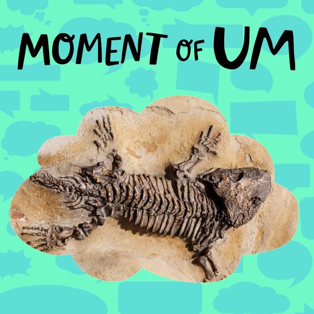 How do scientists know how old fossils are? - podcast episode cover