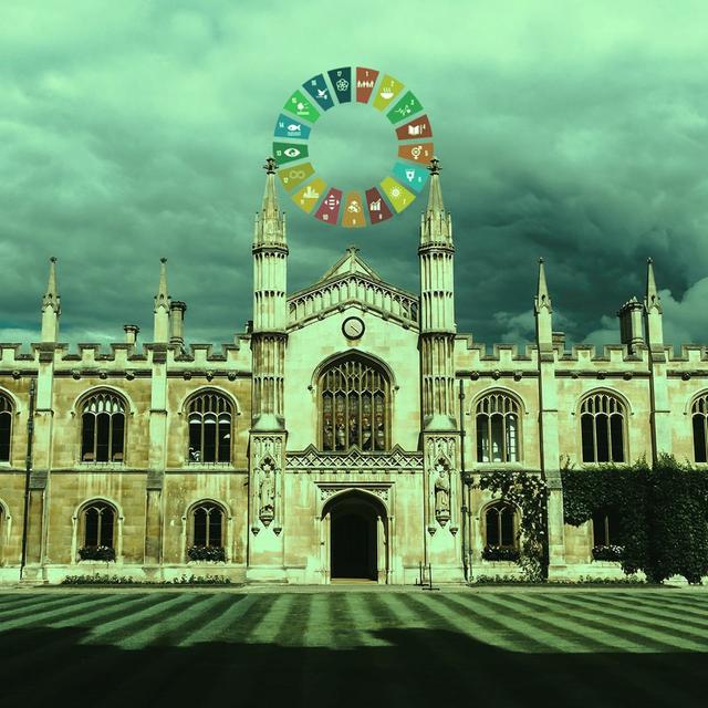 The Strange Death of the University, Part 4: The Strange Death of Knowledge - podcast episode cover