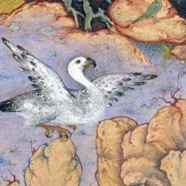 Attar's "Conference of the Birds" - The Greatest Sufi Masterpiece? - podcast episode cover