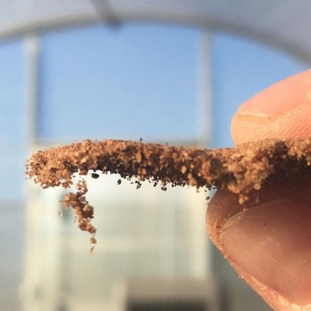Living Soil Crusts With Corey Nelson - podcast episode cover