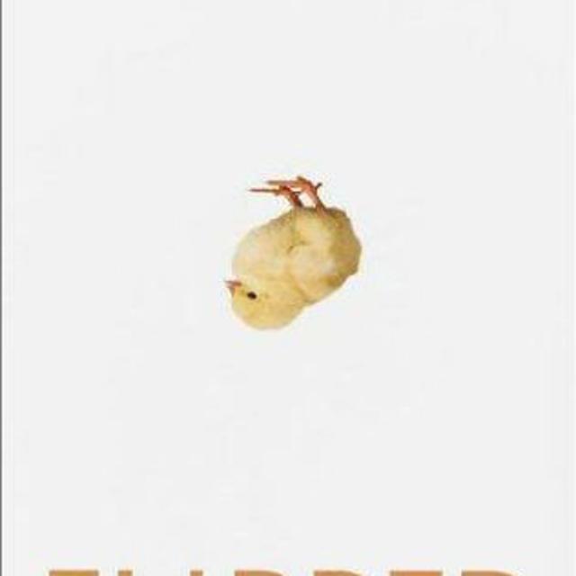 Flipped Chapter 2 - podcast episode cover