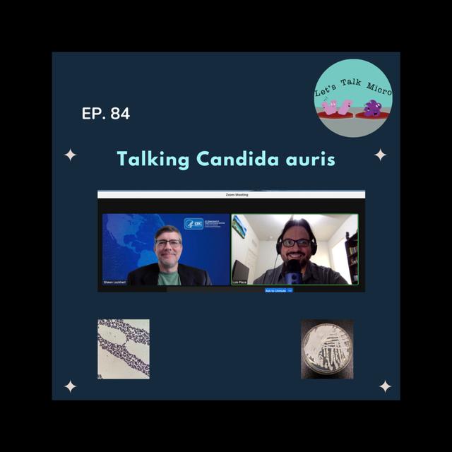 84: Talking Candida auris - podcast episode cover