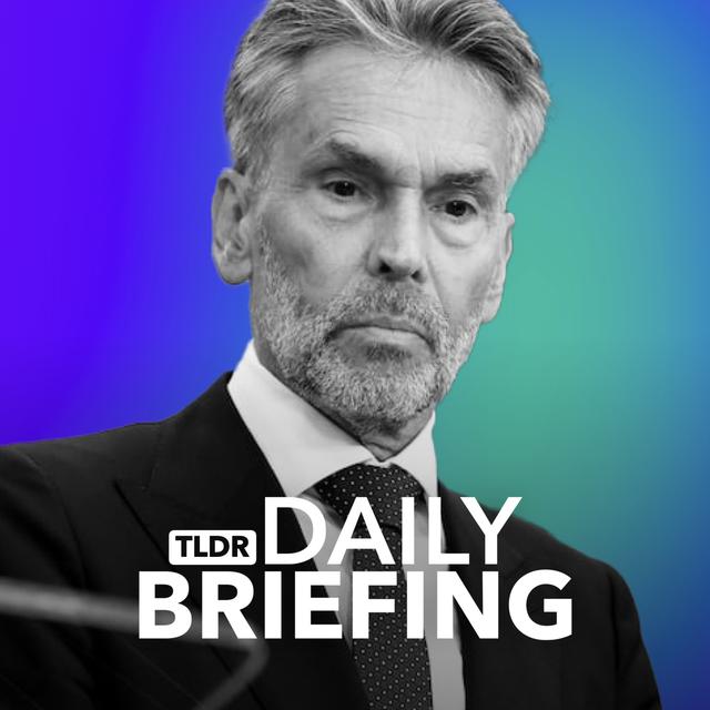 How the Netherlands Finally Chose a Prime Minister - podcast episode cover