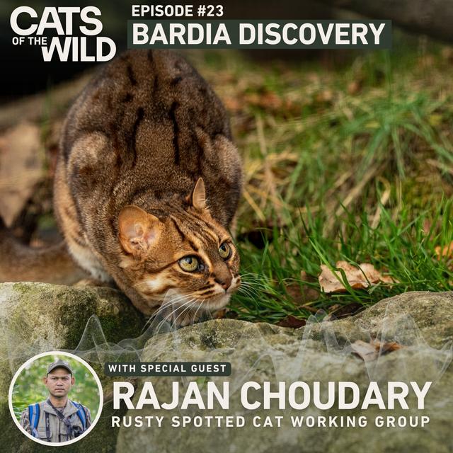 Bardia Discovery: Rajan Choudhary, Rusty-Spotted Cat Working Group - podcast episode cover