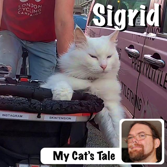 My Cat’s Tale – Sigrid Rides - podcast episode cover