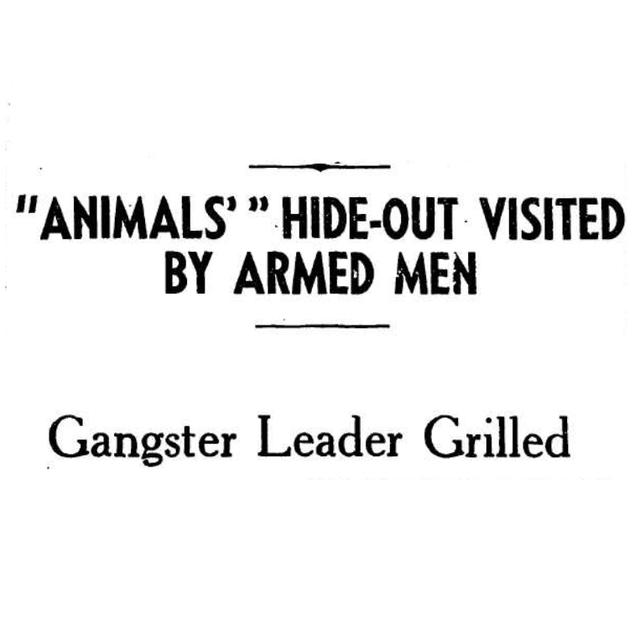 The Animal Gangs: An Irish Peaky Blinders? - podcast episode cover