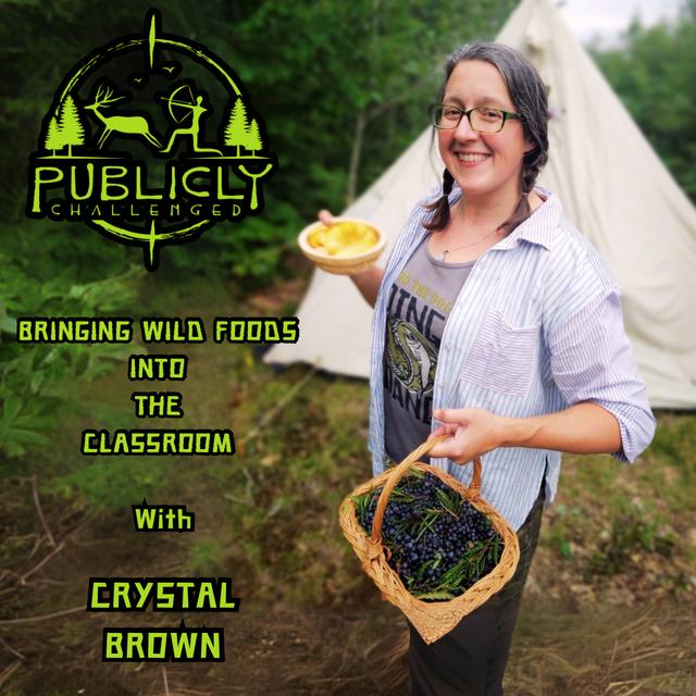 BRINGING WILD FOODS INTO THE CLASSROOM - podcast episode cover