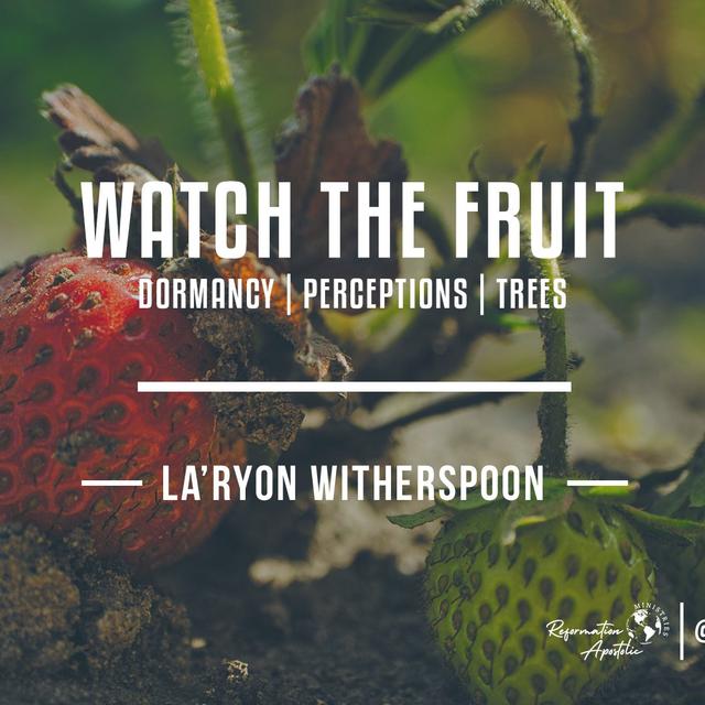 Watch The Fruit - podcast episode cover