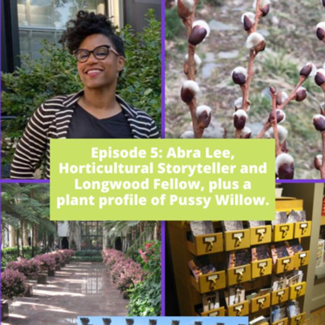 Horticultural Storyteller - podcast episode cover