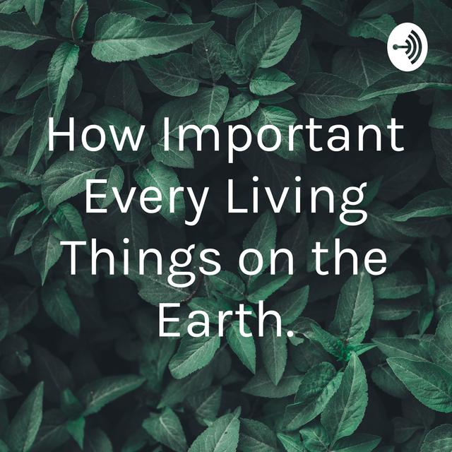How important is every living thing on the earth? - podcast episode cover