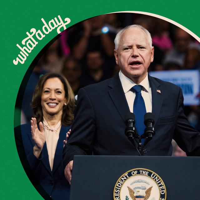 How Low Will Dems Go? - podcast episode cover