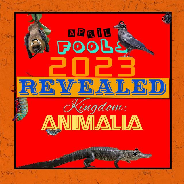 April Fools 2023 - The Big Reveal - podcast episode cover