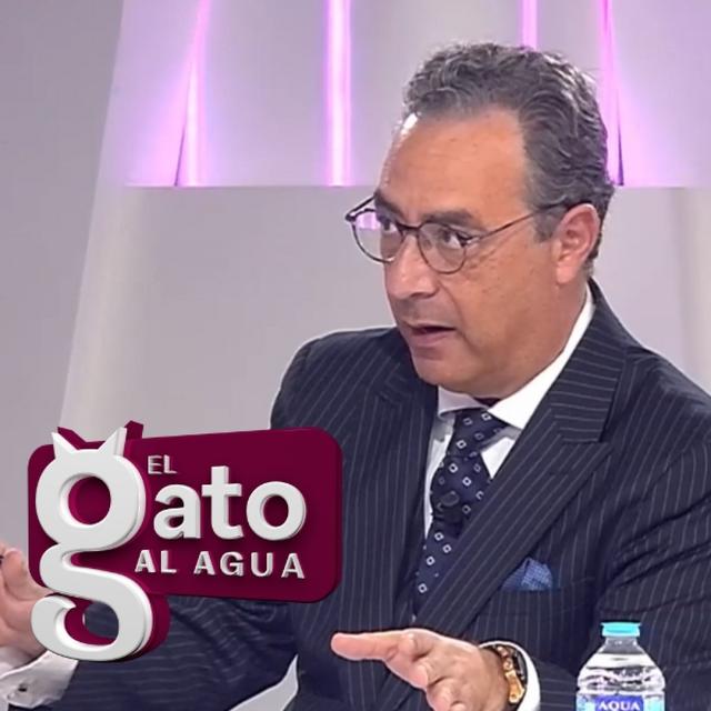 El Gato al Agua | 20/02/25 - podcast episode cover