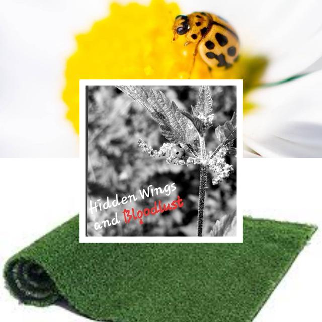 Episode 51: Artificial Grass with Richard Dowling - podcast episode cover